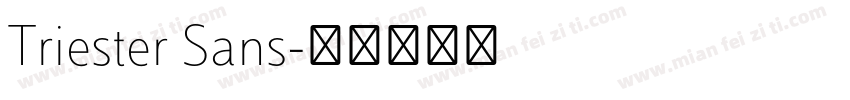 Triester Sans字体转换
